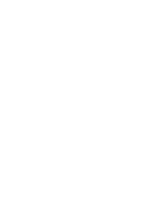 ziyou bonn Logo